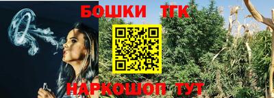 apvp Канаш