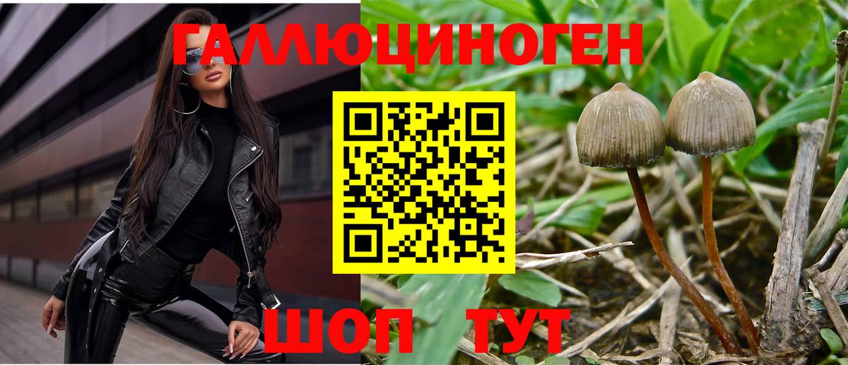 Галлюциногенные грибы прущие грибы Бирск