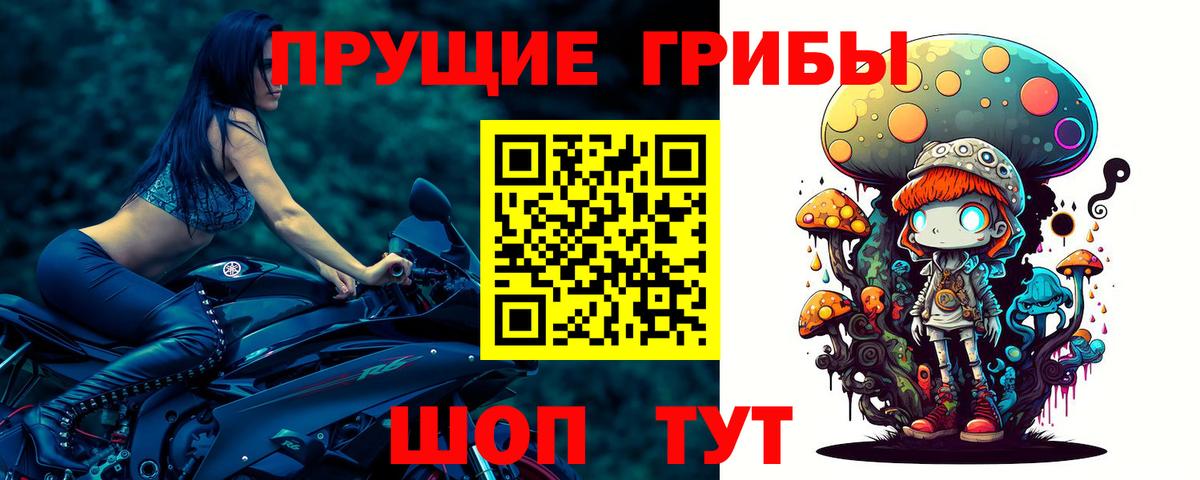 Бирск  Псилоцибиновые грибы MAGIC MUSHROOMS  Вход с VPN  Галлюциногенные грибы прущие грибы 